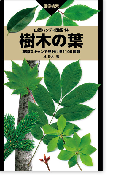 野生から植栽まで、北海道〜九州で見られるほとんどの樹木を網羅した